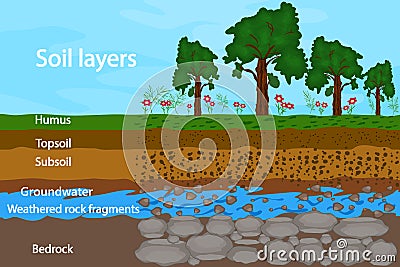 Soil layers. Diagram for layer of soil. Soil layer scheme. Vector Illustration