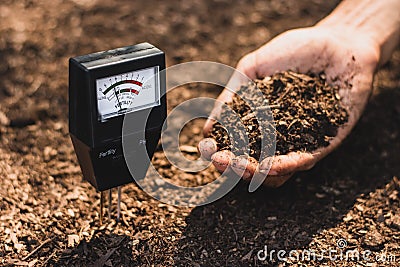 Soil meter that is currently being used in a loam that is suitable for cultivation. Stock Photo