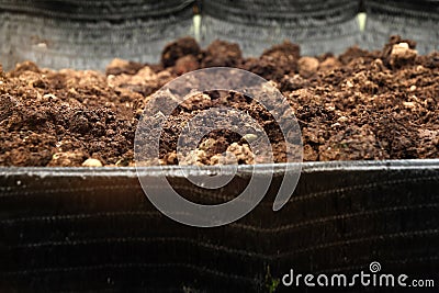Soil for planting background Stock Photo