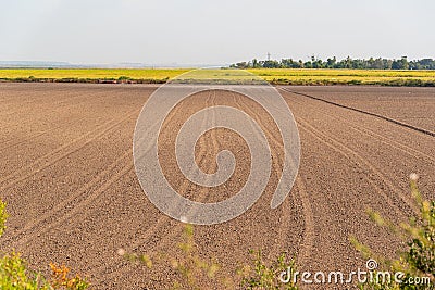 Soil prepared for planting and in the background a dryland rice plantation Stock Photo