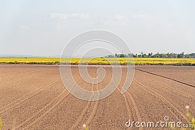 Soil prepared for planting and in the background a dryland rice plantation Stock Photo