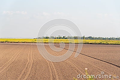 Soil prepared for planting and in the background a dryland rice plantation Stock Photo