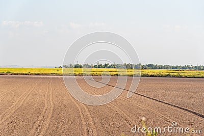 Soil prepared for planting and in the background a dryland rice plantation Stock Photo