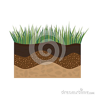 Soil profile with grass Vector Illustration