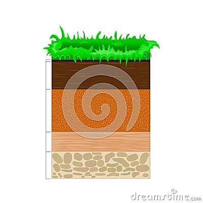 Soil profile and horizons Vector Illustration