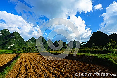 Soil on rice field after harvesting season with mountain and blue sky in Vietnam Stock Photo