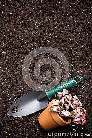 Soil, spade and flower in pot Stock Photo