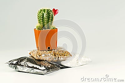 Soil and stone in plastic pack for beginer.Cactus for decoration Stock Photo