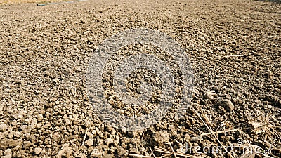 Soil - Texture Sand, Silt, Clay Composition. Fertile loam soil suitable for planting, soil texture background Stock Photo