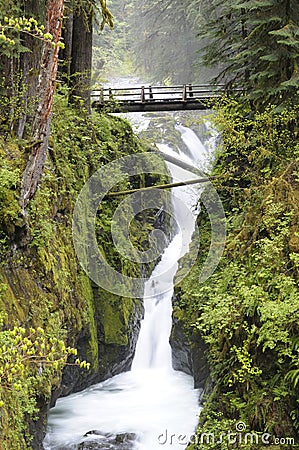 Sol Duc Falls Stock Photo