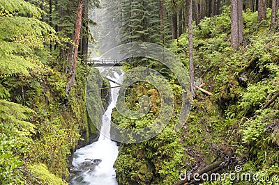 Sol Duc Falls Stock Photo