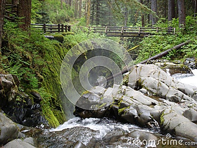 Sol Duc Falls Stock Photo