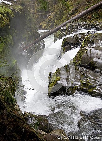 Sol Duc Falls Stock Photo