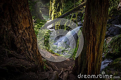 Sol Duc Falls in Olympic National Park Stock Photo