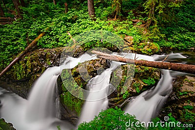 Sol Duc Falls Olympic National Park Stock Photo