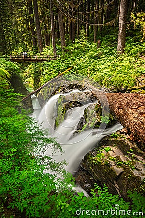 Sol Duc Falls in Olympic National Park, Washington Stock Photo