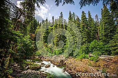 Sol Duc River Stock Photo