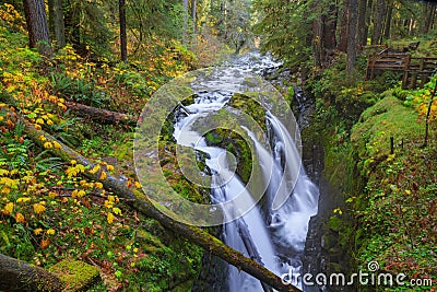 Sol Duc waterfall in Rain Forest Stock Photo