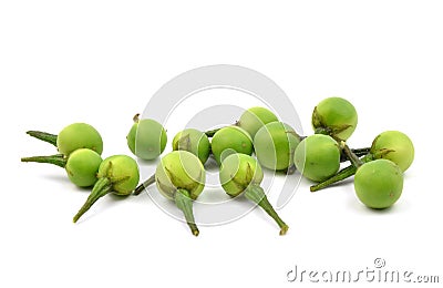 Solanum indicum Stock Photo