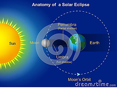 Solar eclipse diagram Vector Illustration