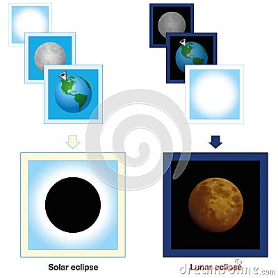 Solar Eclipse Lunar Eclipse Comparison Vector Illustration