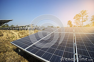 solar farm green energy from sun light Stock Photo