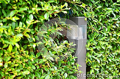 Solar garden lights are charged during the day Stock Photo