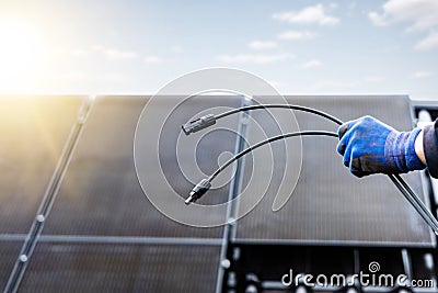 Solar panel cables with MC4 connectors held by a hand Stock Photo