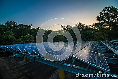 Solar panels at dawn Stock Photo