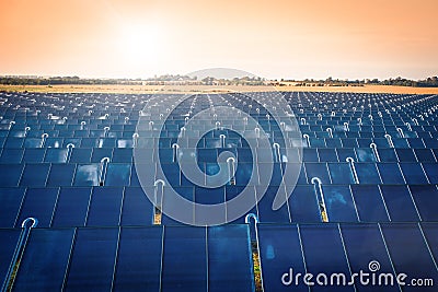 Solar park in the sunrise Stock Photo