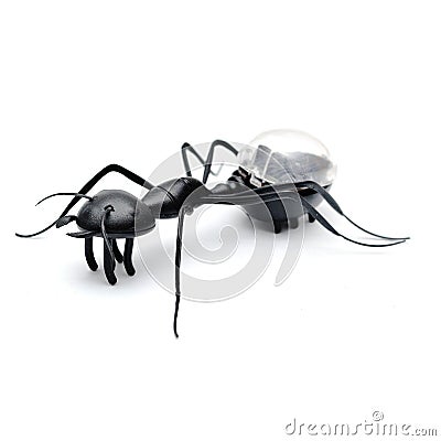 Solar powered Ant Stock Photo