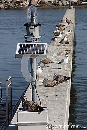 Solar Powered Marine Lantern Daytime Marina Seagulls Stock Photo