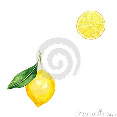 Solated illustration of a whole lemon with a leaf and a slice. Watercolor illustration of citrus. Cartoon Illustration