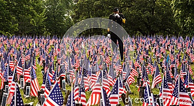 Soldier in Field of Flags on Memorial Day Editorial Stock Photo