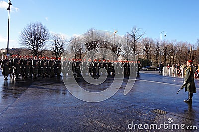 The soldiers of the Austrian army on the guard of honor near the Hofburg Palace. Editorial Stock Photo