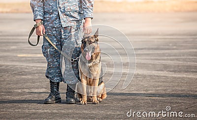 Soldiers from the K-9 unit demonstrations to attack the enemy Editorial Stock Photo