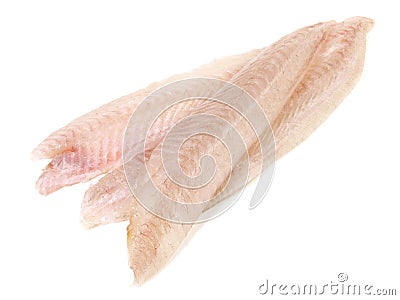 Sole Fillet - Flatfish on Withe Stock Photo