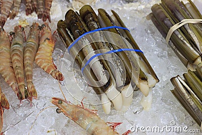 Solen strictus and shrimp Stock Photo