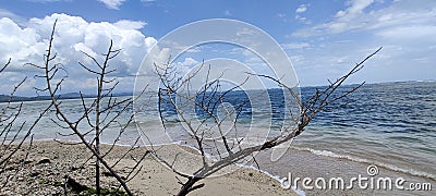 A solitary beach of Cahuita National Park in the Costa Rican Caribbean Stock Photo