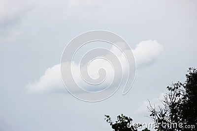 solitary cloud in the sky on a cloudy winter weather in the form of creature. Stock Photo