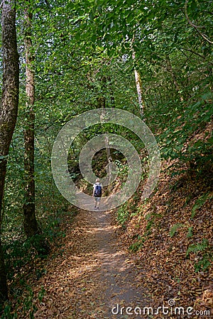 Solitary Female Hiker travels through lovely forest Editorial Stock Photo