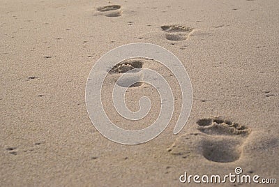 Solitary footprints in sand Stock Photo