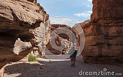Hiker Exploring the Red Canyon in the Eilat Mountains in Israel Editorial Stock Photo