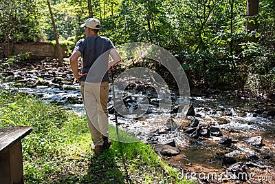 Solitary man contemplates nature on woodland hike Stock Photo