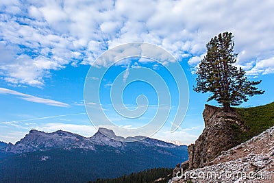 Solitary tree and dolomitic background Stock Photo