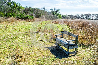 Weathered wooden bench in Texas prairie grass and green trees with morning sunlight Stock Photo