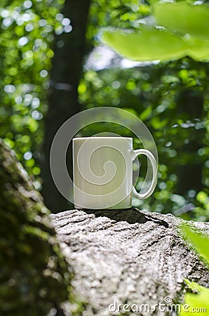 A solo blank white coffee mug in the park trees Stock Photo