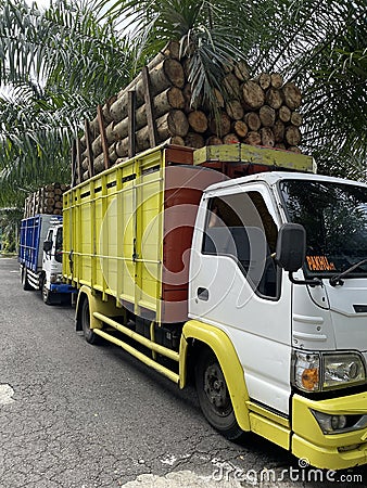 A queue of trucks loading round logs waiting to be unloaded. Editorial Stock Photo