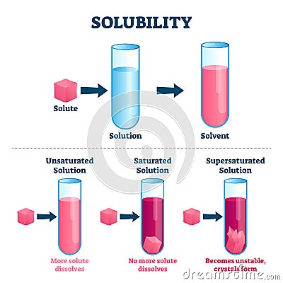 Solubility vector illustration. Labeled solute, solvent and solution scheme Vector Illustration