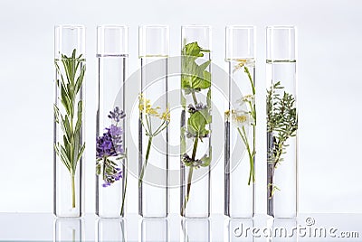 Solution of medicinal plants and flowers - Stock Photo